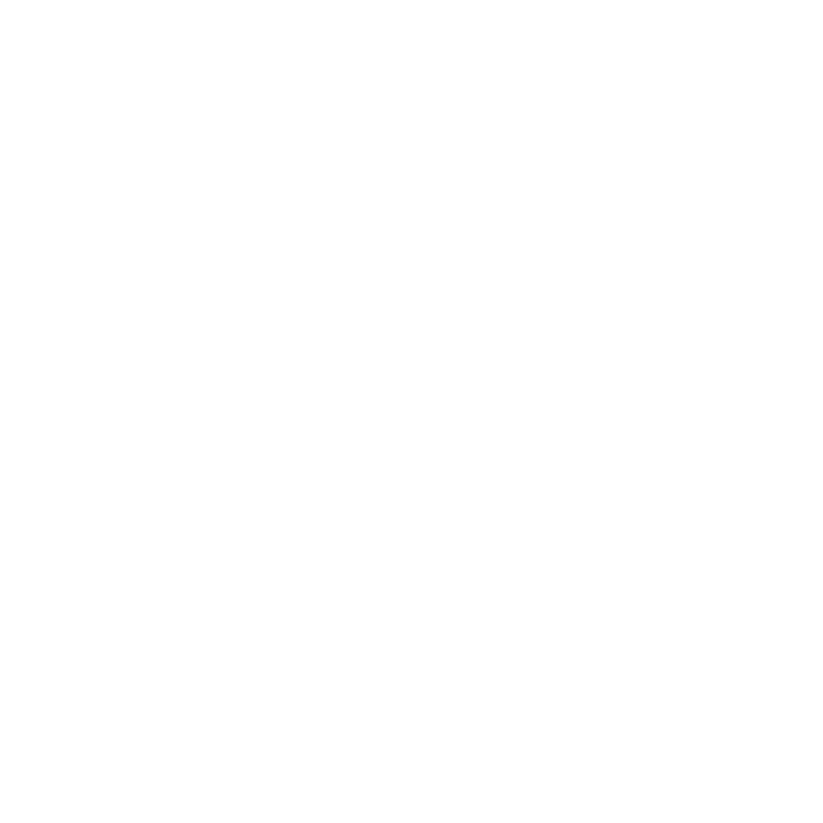 Andino Holding